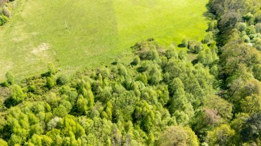 Yeşilliğin canlı tonlarını gösteren geniş çimenli bir tarlayla yemyeşil bir ormanın havadan görünüşü. Bu sahne doğanın özünü yakalar ilkbaharda güzellik.