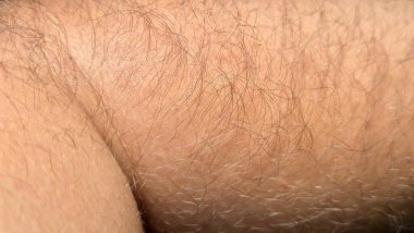 İnsan derisi ve vücut kıllarının yakından görüntüsü, doku ve ayrıntıları gösteriyor. Görüntü, insan özelliklerinin doğal çeşitliliğini gösteriyor ve sağlık güzelliği veya biyoloji bağlamlarında kullanılabilir..