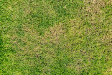 Yeşil çimen dokusu yeşil ve kahverengi bölgelerin çeşitli tonlarını sergiliyor. Arka plan ya da tarımsal temalar için mükemmel. Peyzaj ve doğa projeleri için ideal..