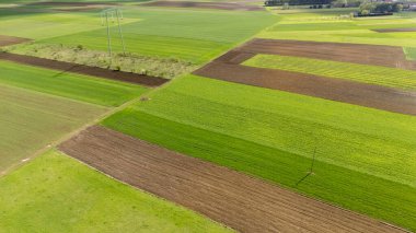 Canlı tarım alanlarının havadan görünüşü yeşil ve kahverengi katmanların farklı tonlarını gösteriyor. Zengin arazi, kırsal kesimdeki modern tarım tekniklerini vurguluyor..