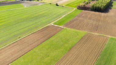 Geniş tarım alanlarının hava manzarası canlı yeşil ekinleri ve sürülmüş kahverengi toprağı vurguluyor. Bu sakin arazi mevsimsel tarım faaliyetlerini yansıtıyor.