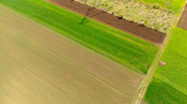 Canlı tarım alanlarının havadan görünüşü yeşilin ve kahverenginin çeşitli tonlarını gösteriyor. Topraklar, baharda çiftçiliğin güzelliğini gösteren entrikalara bölünmüştür..