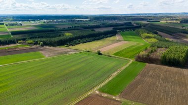 Bereketli yeşil tarlaların ve tarım arazilerinin havadan görünüşü parlak mavi bir gökyüzünün altında farklı ekinlerin olduğu tarımsal arazileri gösteriyor..