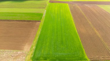 Tarım alanlarının canlı bir parçasının havadan görünüşü çeşitli yeşil kahverengi ve sarı tonlarını gösteriyor. Çiftlik doğasını ve kırsal alanları resmetmek için mükemmel..