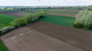 Geniş tarım arazileri, yeşil ekinler ve bulutlu bir gökyüzünün altındaki ekili arazi ilkbaharda kırsal alanların güzelliğini gözler önüne seriyor..