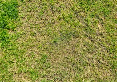 Dengesiz çimen dokusunun havadan görünüşü canlı yeşil ve kuru kahverengi bölgelerin çimenlik ya da tarladaki mevsimsel değişiklikleri gösteren parlak güneş ışığı altındaki bölgelerini gösteriyor..