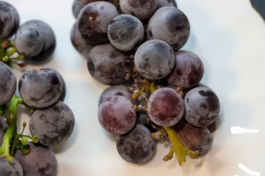 Beyaz bir tabakta sulu taze üzümlerin yakın plan görüntüsü. Koyu mor ve siyah renkler meyve sulu dokusunu ve canlı doğayı vurgular. Yemek fotoğrafçılığı için mükemmeldir..