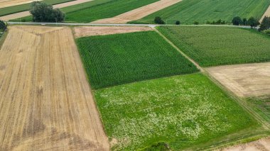 Kırsal bir bölgede yaz boyunca canlı tarım alanlarının havadan görünüşü. Tarım manzaralarının güzelliğini vurgulayan çeşitli yeşil ve kahverengi ürün çeşitliliği desenleri.
