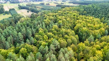 Bereketli bir ormanın havadan görünüşü canlı yeşil ağaçlar sergiliyor. Renkli yeşilliklerle harmanlanmış. Bu sakin manzara yaz boyunca doğanın güzelliğini sergiler..