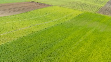 Canlı yeşil ve kahverengi tarım alanlarının havadan görünüşü. Bu manzara, doğayla ilgili projeler için biçilmiş ot ve toprak tarafından oluşturulan zengin doku ve desenleri sergiliyor..