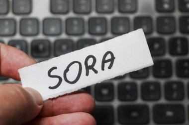 Varşova Polonya - 4 Ağustos 2025: Dijital çağda iletişimi ve bağlantıyı simgeleyen bir klavyenin üzerinde Sora sözcüğünü gösteren el yazısı.