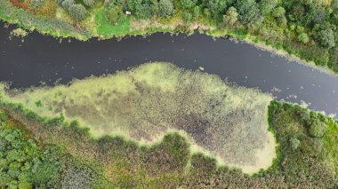 Bereketli bataklık ve su yosunlarıyla çevrili dolambaçlı bir nehrin hava manzarası dokunulmamış doğanın ve biyolojik çeşitliliğin güzelliğini gözler önüne seriyor..