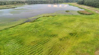 Yansıtıcı gökyüzünün altında sakin bir göle bitişik yemyeşil yemyeşil alanlar barındıran sakin bir manzaranın havadan görüntüsü. Doğanın güzelliği günbatımında çevresel temalar için mükemmeldir..