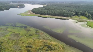 Su ve karanın karışımını gösteren yemyeşil ormanlarla çevrili sakin bir nehrin havadan görünüşü. Doğa odaklı projeler ve çevre temaları için mükemmel.
