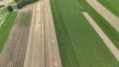 Tarımsal alanların havadan görünüşü çeşitli ürünleri sırayla gösteriyor. Manzara, doğada mevsimsel ekimi yansıtan zengin yeşil ve kahverengi desenlere sahiptir..