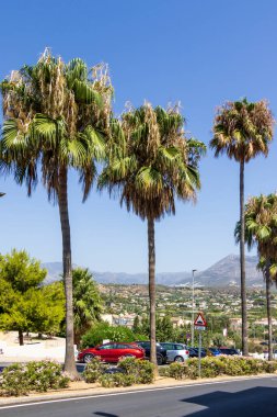 Guadalest İspanya - 16 Temmuz 2025: Bereketli palmiye ağaçları, berrak mavi bir gökyüzü altında canlı yeşillikler ve uzak dağları gösteren manzaranın çerçevesini oluşturur..