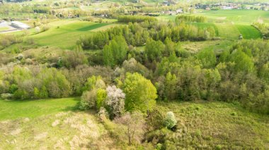 Canlı bir manzaranın havadan görünüşü yemyeşil ağaçları, sık yaprakları ve arka plandaki tarlaları gösteriyor. İlkbaharda doğanın güzelliğini vurguluyor..
