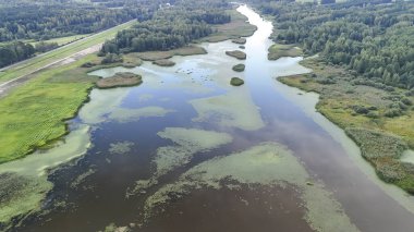 Bereketli yeşil arazilerde süzülen sakin bir nehrin havadan görünüşü doğa projeleri için ideal olan sakin ortamda canlı su yansımaları ve bitki örtüleri sergiliyor..