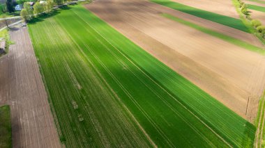Canlı yeşil tarlaların ve kahverengi tarlaların havadan görünüşü. Görüntü tarımsal arazi kullanımı ve tarımla ilgili projeler için ideal gün ışığı altında örüntüler sergiliyor.