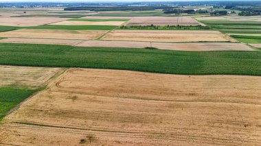 Canlı tarım alanlarının havadan görünüşü zengin verimli topraklarda yetiştirilen çeşitli ekinleri gösteriyor. Arazi, açık mavi gökyüzünün altında yeşil ve altın rengi yamalarla çelişiyor..