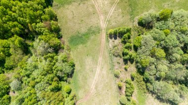 Yoğun bir ormanın içinden geçen temiz bir yol içeren yemyeşil bir arazinin havadan görünüşü. Canlı yeşillik yazın doğanın güzelliğini gözler önüne seriyor..