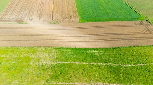 Tarım alanlarının havadan görünüşü farklı ekin aşamalarını gösteren yeşil ve kahverengi toprakların bir kısmını gösteriyor. Tarım manzarası ve çevre temaları için ideal.
