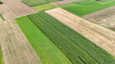 Uçsuz bucaksız tarım alanlarının havadan görünüşü yeşilin ve kahverenginin çeşitli tonlarını gösteriyor. Kırsal alandaki ekinlerin dokusunu vurgulamak için gündüz yakalanmış..