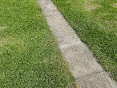 İyi korunmuş beton bir patika, güneşli bir açık havada, canlı yeşil çimlerin arasında gezinir, davetkar yürüyüşler yapar, parkta ya da bahçede sakin yürüyüşler yapar..