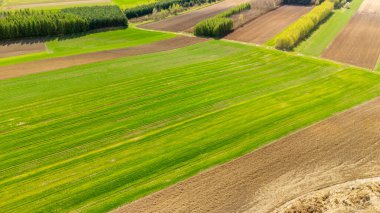 Geniş yeşil tarım alanlarının kahverengi toprağa dönüşmesi, tarımın ve ekinlerin ekilmesini gösteren hava manzarası. Çevre ve tarım temaları için ideal.
