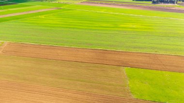 Canlı tarım alanlarının havadan görünüşü alternatif yeşil ve kahverengi arazi şeritlerini gösteriyor. Kırsal yaşam tarzını ve çevresel konuları resmetmek için ideal.