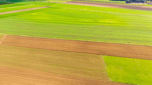 Canlı tarım alanlarının havadan görünüşü alternatif yeşil ve kahverengi arazi şeritlerini gösteriyor. Kırsal yaşam tarzını ve çevresel konuları resmetmek için ideal.