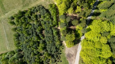 Bereketli yeşil ağaçların ve parlak yapraklarla çevrili dolambaçlı bir yolun havadan görünüşü güneşli bir havada doğanın güzelliğini gözler önüne seriyor..
