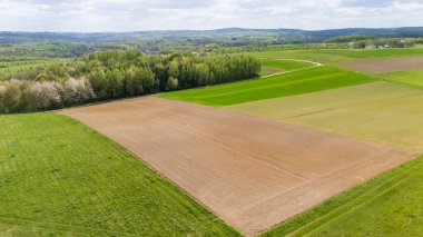 Ağaçlarla çevrili kahverengi toprak parçalarıyla yemyeşil tarım arazilerinin havadan görünüşü ve bulutlu bir gökyüzünün altında doğanın güzelliğini gösteren manzaralar..