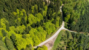 İlkbahar boyunca yemyeşil ormanlarla çevrili dolambaçlı bir yolun havadan görünüşü doğanın canlı renklerini ve manzara ve altyapının uyumunu vurguluyor..