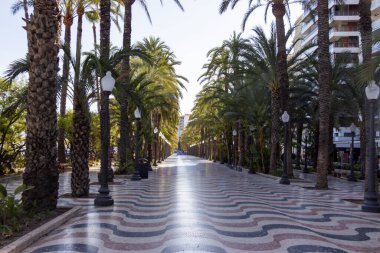 Alicante Spain - July 17 2025: A scenic view of a palm-lined promenade with a patterned walkway under bright sunlight emphasizing leisure and outdoor enjoyment.