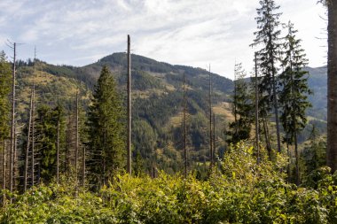 Dağ manzaralı, yeşil ağaçlar kısmen bulutlu gökyüzü. Doğal ortamda huzur arayan doğa severler ve doğa meraklıları için idealdir..
