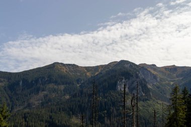 Mavi gökyüzünün altındaki dağ manzarası. Yoğun ormanlar ve kayalık tepeler içeren tüylü bulutlar. Doğayı güzelleştiren doğa deneyimlerini gösteren nefes kesici bir manzara..