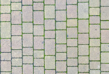 Taşların arasında çimen büyüyen, desenli kaldırım manzarası. Bu görüntü, tasarım projeleri için ideal eski sokakların kırsal çekiciliğini yakalıyor..