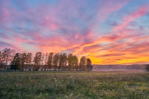 Bunter Sonnenuntergang Vom Feld — Stockfoto