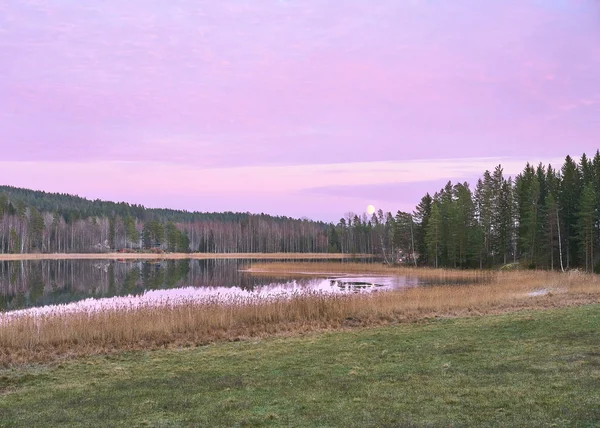 Purple Dusk Het Platteland — Stockfoto