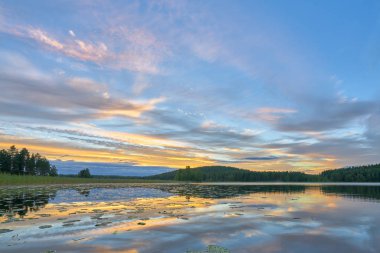 Fin kırsal yaz ortası yansımalar