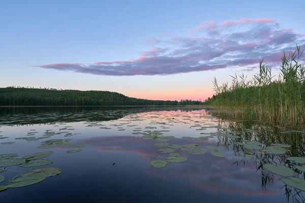 Lake Reflections Midsummer — Stock Photo, Image