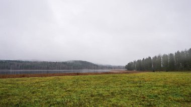 puslu arazi