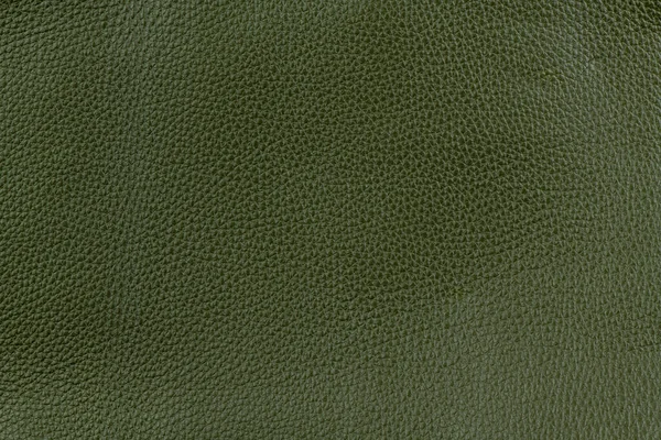 Olivgrün Glattes Naturleder Mittlerer Narbenstruktur Hintergrund — Stockfoto