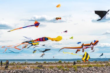 Gökyüzünde bir sürü farklı uçurtma uçuyor.