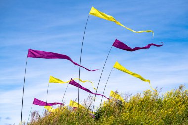 Uçurtma festivalinde mor ve sarı bayraklar dalgalanıyor.