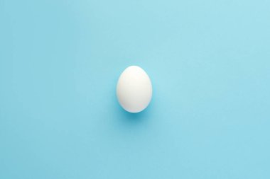 Mavi arka planda beyaz doğal yumurta