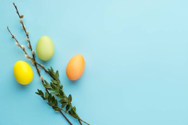 Mavi arka planda söğüt dallarıyla boyanmış Paskalya yumurtaları.