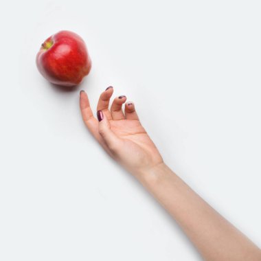 Kırmızı tırnaklı kadın eli, gri arka plana kırmızı elma düşürdü.