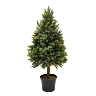 Yapay ladin ağacı, ev, alışveriş merkezleri ve restoranlar için modern yeşil ekolojik dekorasyon kadar gerçek. Tasarım kolajı için beyaz arkaplanda izole